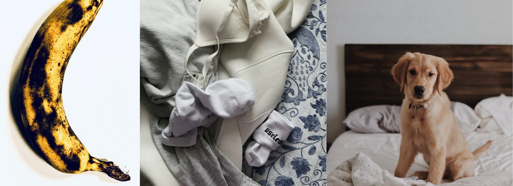 14 Reasons Why your Apartment Smells Bad (And Solutions)